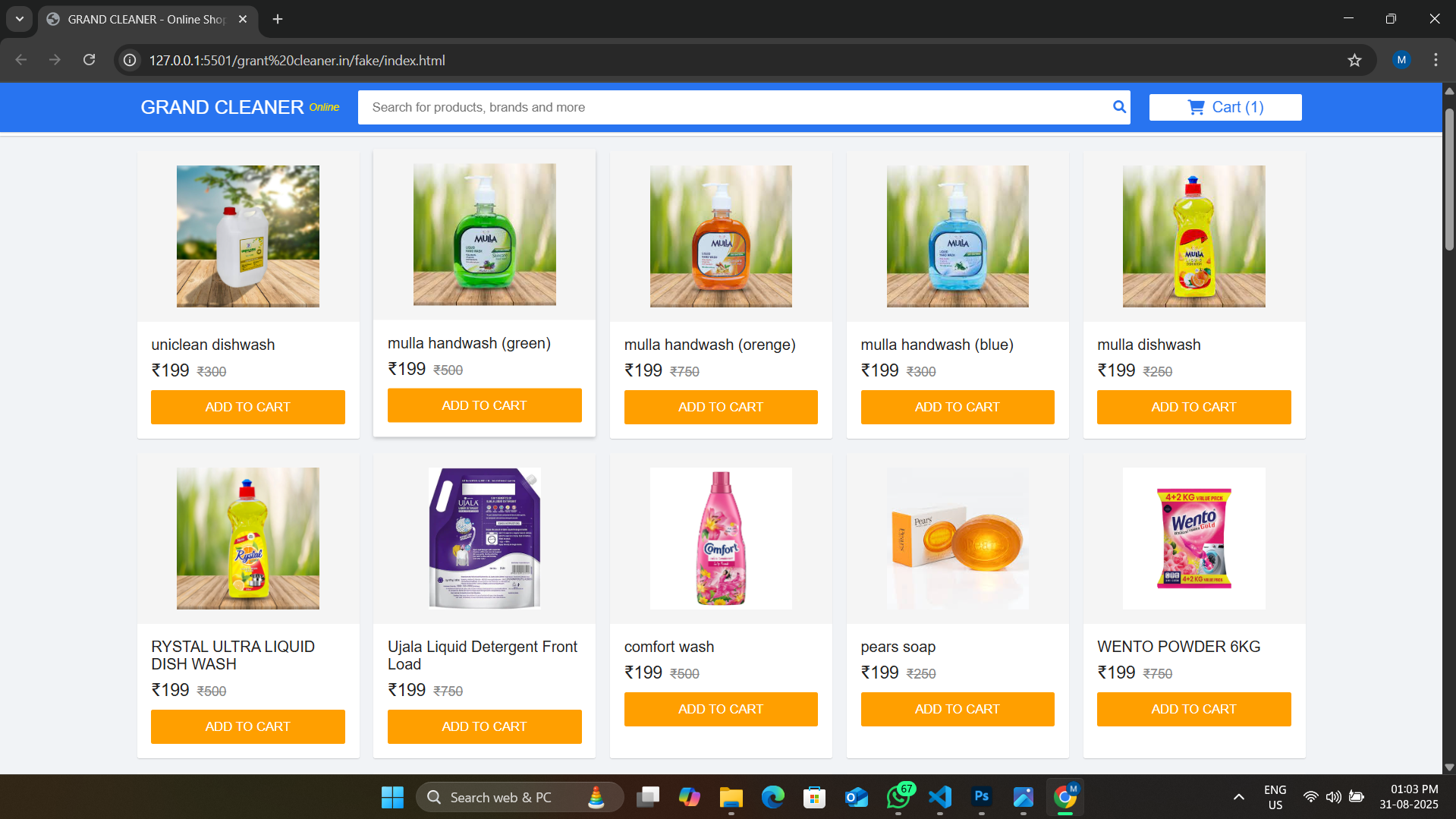 Web Development Project